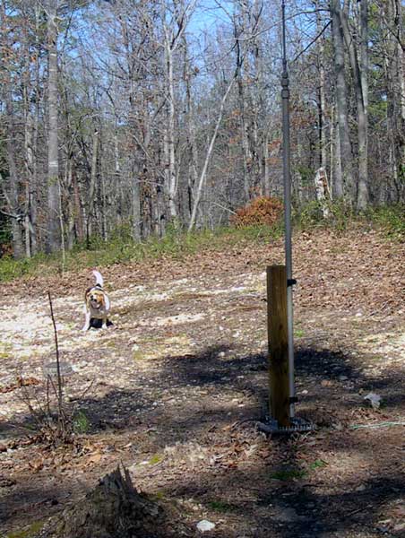 Vertical amateur radio antenna